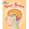 KNYGA Sally Morgan Your Brain