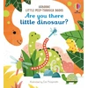 KNYGA Sam Taplin Are You There Little Dinosaur?