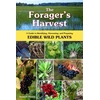 KNYGA Samuel Thayer Forager's Harvest