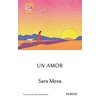 KNYGA Sara Mesa Un Amor