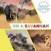 KNYGA Sarah Ridley Explore Ecosystems: On a Savannah