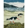 KNYGA Sarah Ross Thompson Wild Birds Pocket Notebook: Oystercatcher