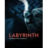 KNYGA SHAPLAND Labyrinth