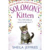 KNYGA Sheila Jeffries Solomon's Kitten