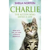KNYGA Sheila Norton Charlie the Kitten Who Saved A Life