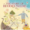 KNYGA Sian Lewis Four Branches of the Mabinogi: The Story of Blodeuwedd
