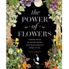 KNYGA Sister Golden Power of Flowers