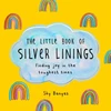 KNYGA Sky Banyes Little Book of Sidabrinis Linings