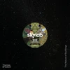 KNYGA Skylab
