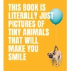 KNYGA Smith Street Books This Book Is Literally Just Pictures of Tiny Animals That Will Make You Smile