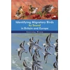 KNYGA Stanislas Wroza Identifying Migratory Birds by Sound in Britain and Europe