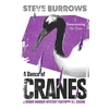 KNYGA Steve Burrows Dance of Cranes