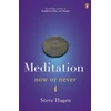 KNYGA Steve Hagen Meditation Now or Never