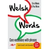 KNYGA Steve Morris Welsh Words - Geirfa Graidd, Lefel Mynediad (De Cymru/South Wales)