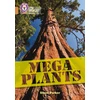 KNYGA Parker Mega Plants