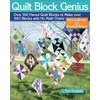 KNYGA Sue Voegtlin Quilt Block Genius, Expanded Second Edition
