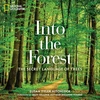 KNYGA Susan Hitchcock Into the Forest