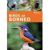 KNYGA Susan Myers Birds of Borneo