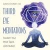 KNYGA Susan Shumsky Third Eye Meditations