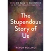 KNYGA T Rollings Stupendous Story of Us