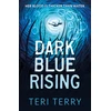 KNYGA Teri Terry Dark Mėlyna Rising