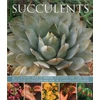 KNYGA Terry Hewitt Succulents