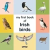 KNYGA The Obrien Press My First Book of Irish Birds