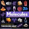 KNYGA Theodore W Gray Molecules