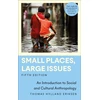 KNYGA Thomas Hylland Eriksen Small Places, Large Issues