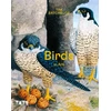 KNYGA Tim Batchelor Birds in Art