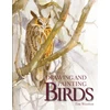 KNYGA Tim Wootton Drawing and Painting Birds