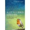 KNYGA Timothy Cross Little Bird Told Me