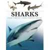 KNYGA Tom Jackson Sharks &amp; Underwater Predators
