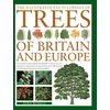 KNYGA Tony Russell Illustrated Encyclopedia of Trees of Britain and Europe, The Ultimate Reference Guide and Identifier to 550 of the Most Spectacular, Best-Loved and Unusual Trees, with 1600 Specially Commissioned Illustrations and Photographs