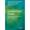 KNYGA Tsuneyoshi Kuroiwa Cyanidioschyzon merolae