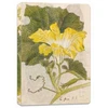 KNYGA Tuttle Tuttle Studio Japanese Squash Blossom Lined Paperback Journal