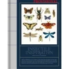 KNYGA Victionary Insectile Inspiration: Insects in Art and Illustration