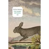 KNYGA Victor Menza Rabbit Between Us