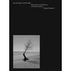 KNYGA Virginia Hanusik Into the Quiet and the Light
