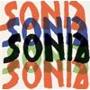 KNYGA Waleria Dorogova Sonia Delaunay
