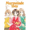 KNYGA Wataru Yoshizumi Marmalade Boy: Collector's Edition 3