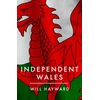 KNYGA Will Hayward Independent Nation, Should Wales Leave the UK?