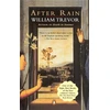 KNYGA William Trevor After Rain