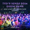 KNYGA Ywain Myfyr Tydi'r Sgwar Ddim Digon Mawr - Hynt a Helynt y Sesiwn Fawr 1992-2022