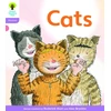 KNYGA Alex Brychta Oxford Reading Tree: Level 1+: Floppy's Phonics Fiction: Pack of 6
