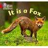 KNYGA Alison Milford It is a Fox