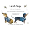 KNYGA Amanda Horwitz Lulu &amp; Sarge in the Bee Sting Operation