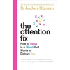 KNYGA Anders Hansen Attention Fix