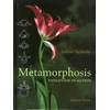 KNYGA Andreas Suchantke Metamorphosis