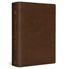 KNYGA Andrew E Steinmann ESV Chronological Bible